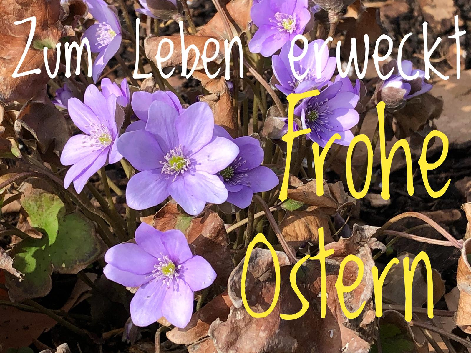 ER ist auferstanden. ER ist wahrhaftig auferstanden.